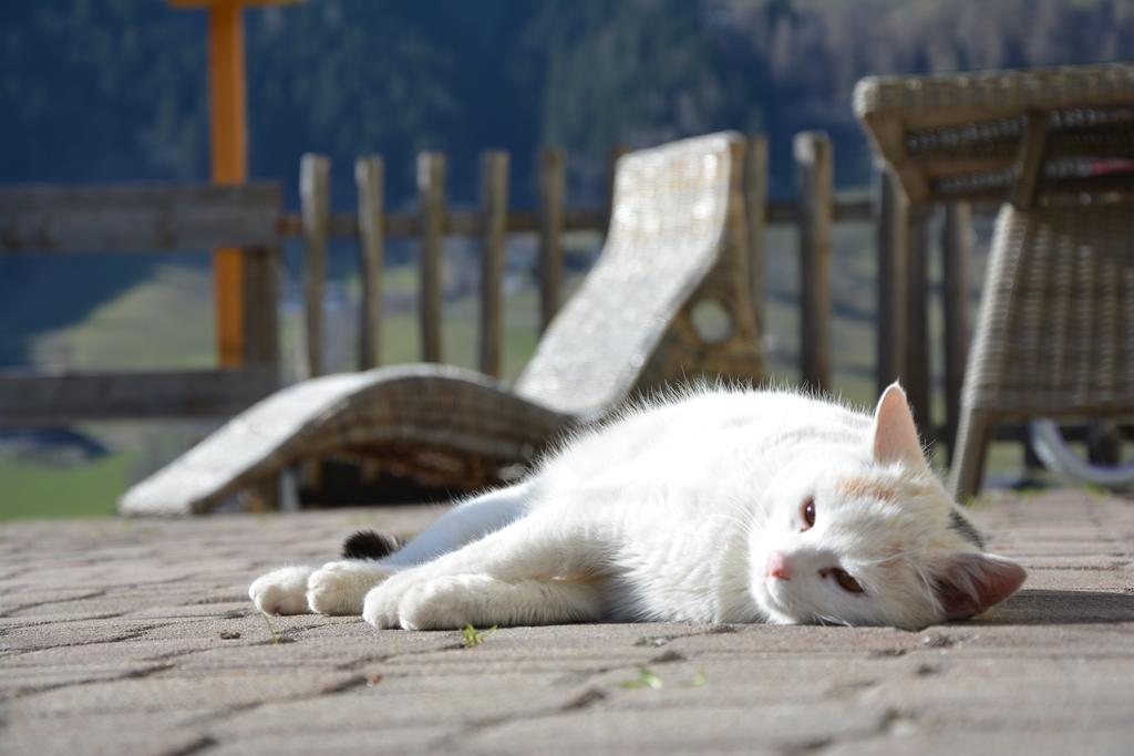 Untersillerhof Villa Neustift im Stubaital Ngoại thất bức ảnh